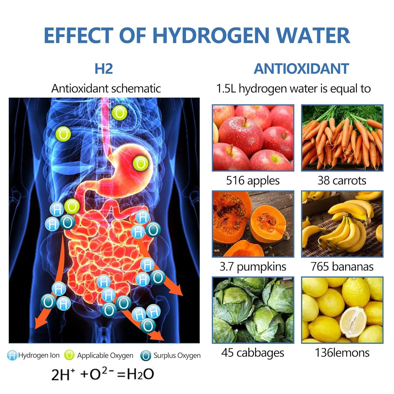 Hydrogen Water Bottle - Ultimate Hydration and Wellness Solution